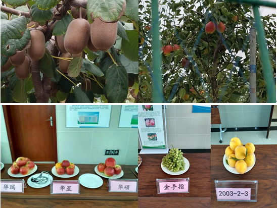 QQ截图20160831110209.png